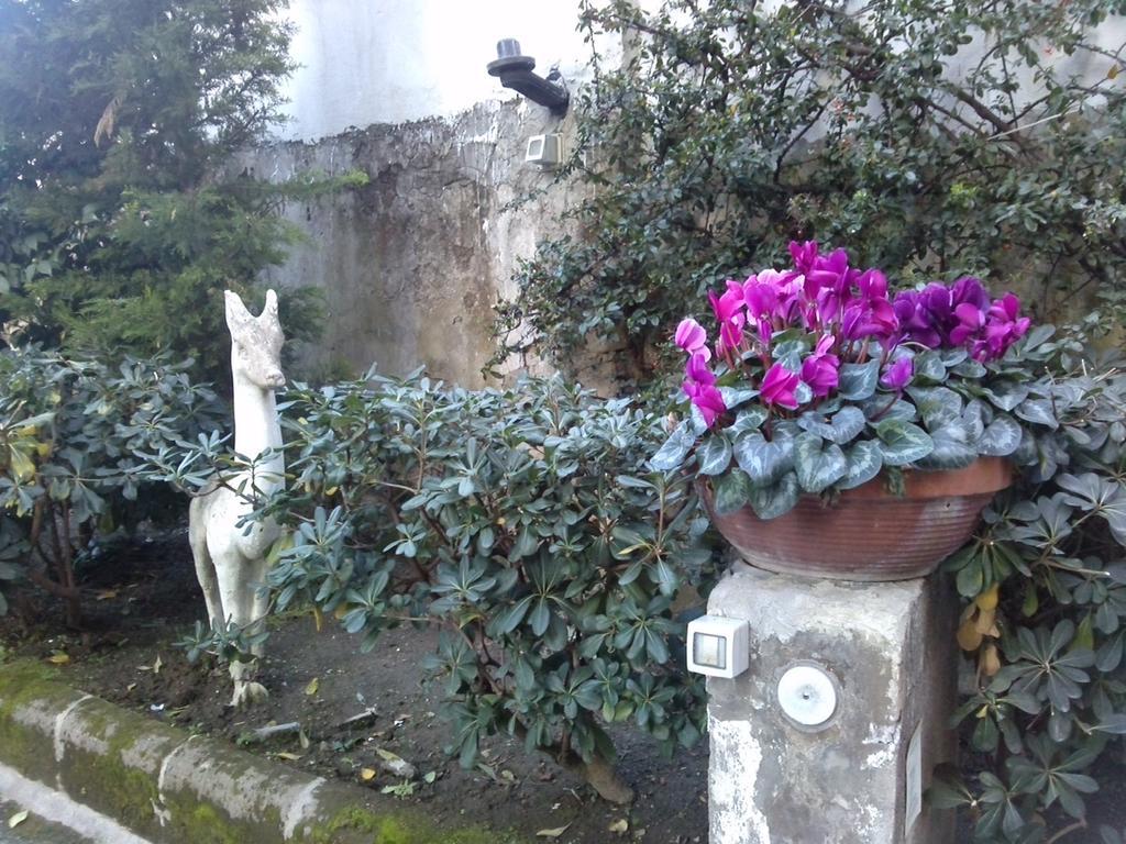 ナポリ Domus Aurea Bed & Breakfast エクステリア 写真